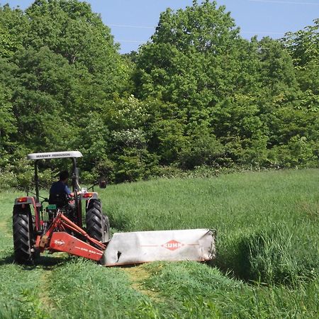Pension Green Lake Gudzso Kültér fotó